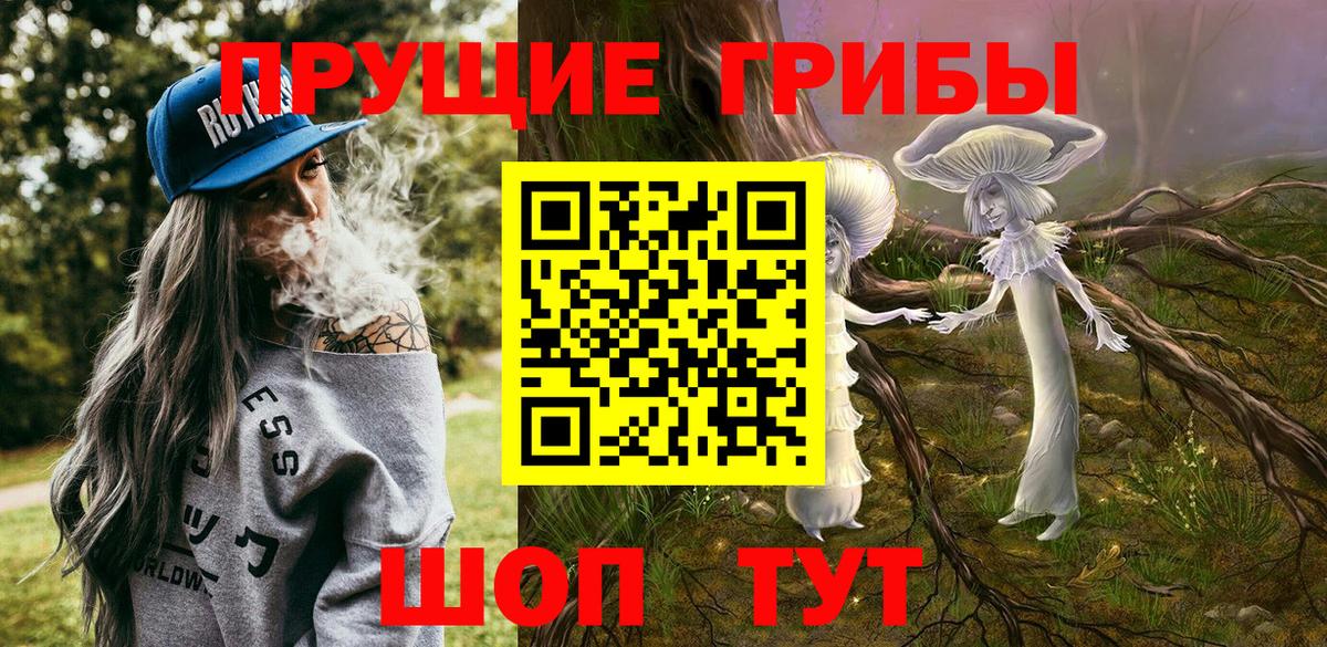 Галлюциногенные грибы Psilocybe  Вход с VPN  Воскресенск 