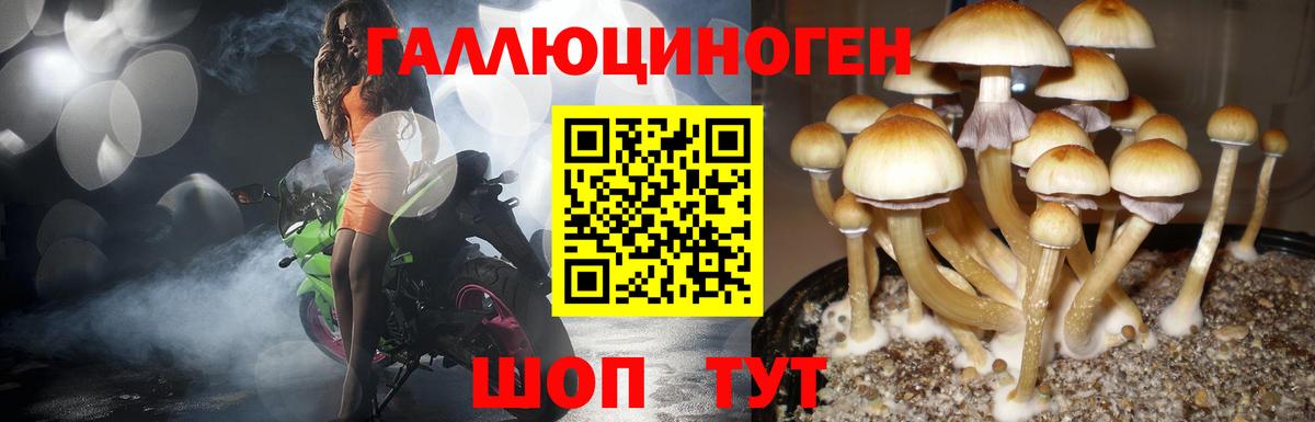 Псилоцибиновые грибы ЛСД Воскресенск